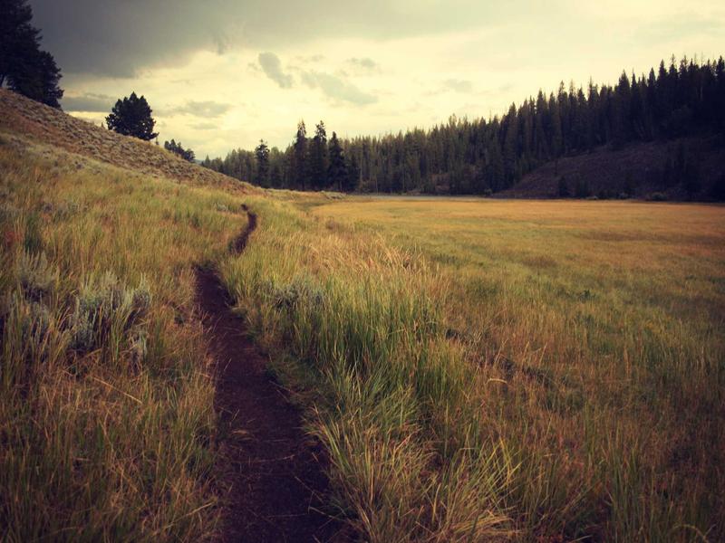 AI Agents: The 9-Second Database Erasure That Changes Everything