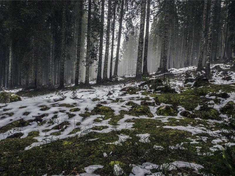 GitHub.com RCE: Unpacking CVE-2026-3854's Critical Impact on Developers 2026