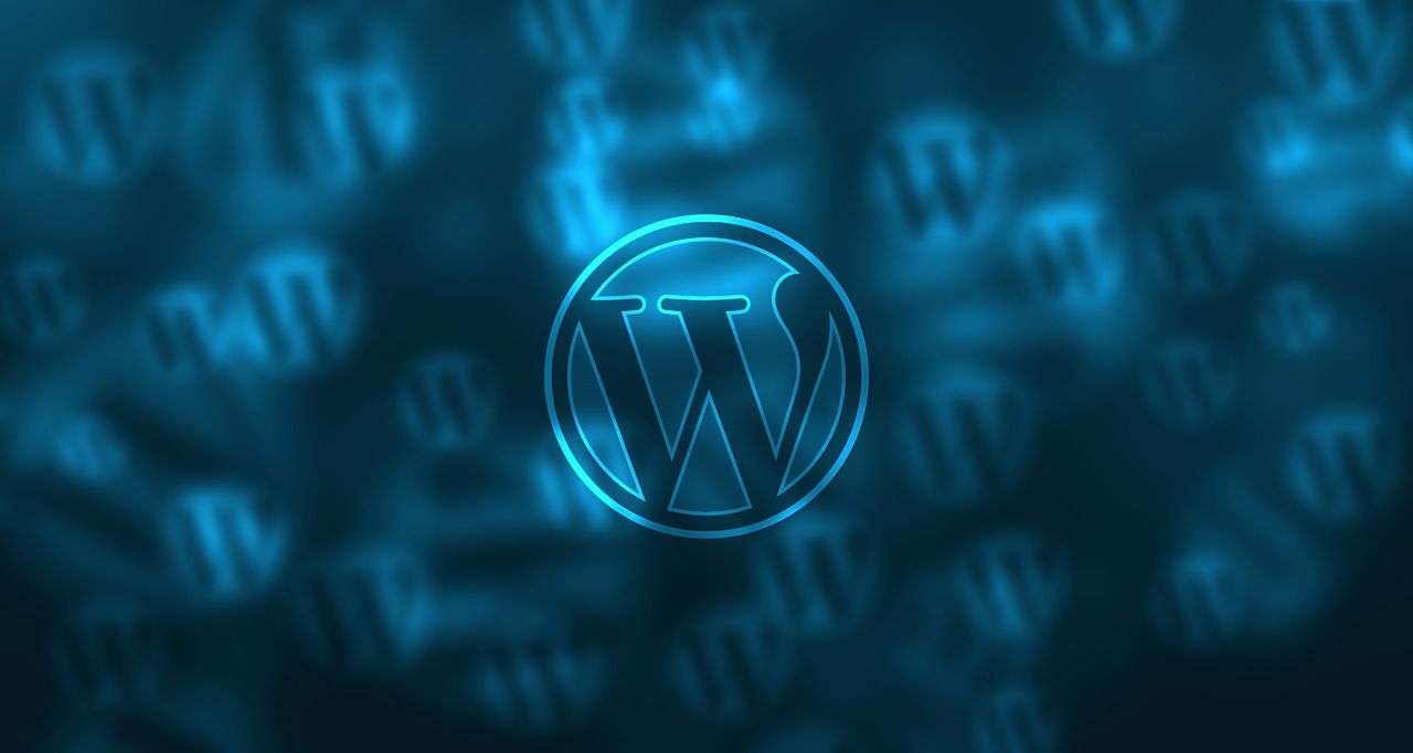 How to speed up your WP website