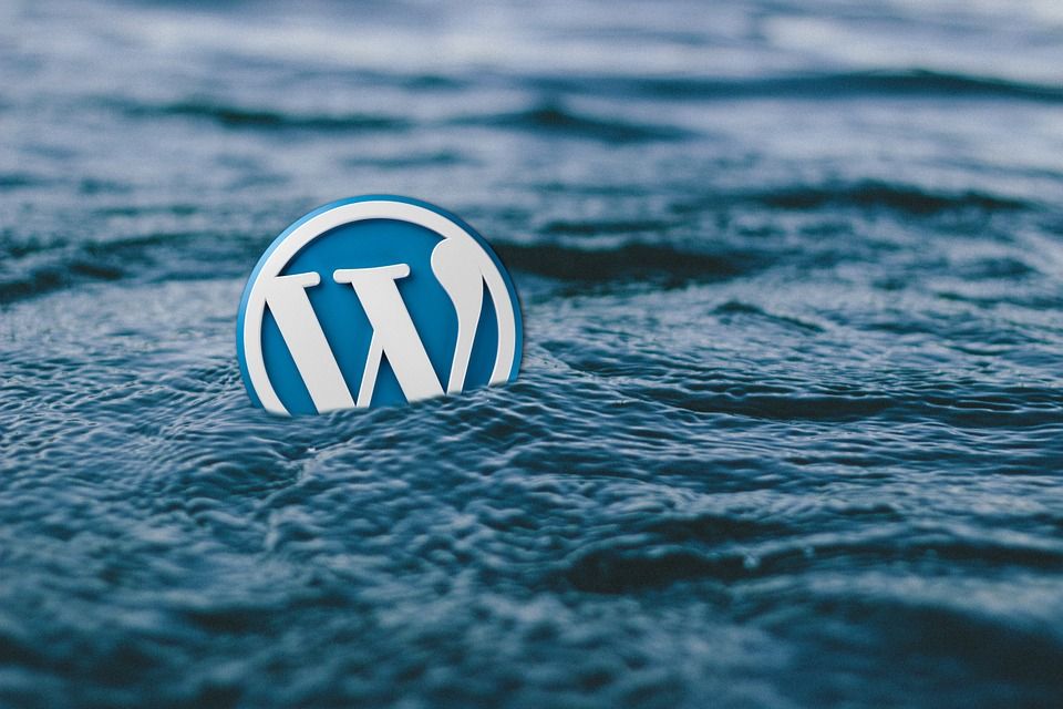 Things to do before changing a WordPress theme